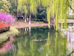 -白塘生态植物园