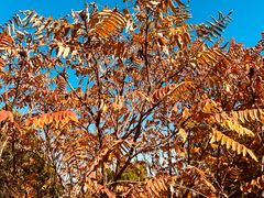 -南翠屏公园