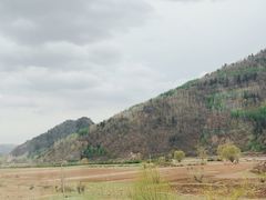 -芦芽山旅游度假区