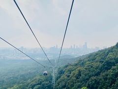 -紫金山山顶公园