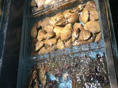 -尚海豆捞(乐虹坊店)