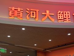 -阿五黄河大鲤鱼(海尚店)