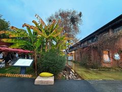 -猫的天空之城概念书店(景德镇陶溪川店)