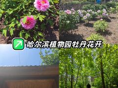 -黑龙江省森林植物园