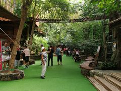 -北京呀路古热带植物园