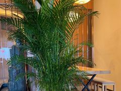 -菩提树·素食餐厅(汇智国际商业中心店)