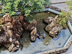 -显应宫(长乐区)