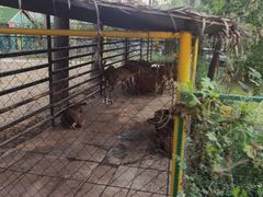 -合肥滨湖国家森林公园