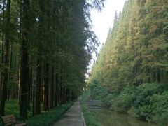 android_upload_pic-上海怡沁园度假酒店