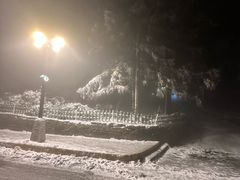 -庐山风景区花径公园