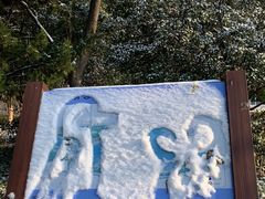 -天鹅湖体育公园