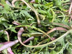 -庆岭迎宾园正宗活鱼馆