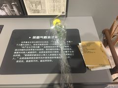 -龙华烈士纪念馆-停车场