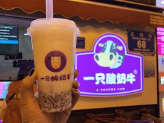 绿豆酸奶紫米露-一只酸奶牛(八一路店)