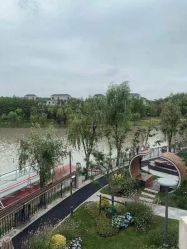 -卓玥国际月子会所(罗山路店)