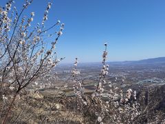 -北京凤凰岭