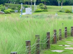 -红花山公园