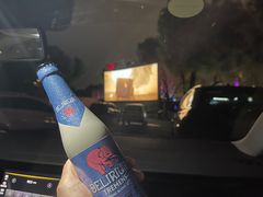 -枫花园汽车电影院(朝阳公园店)