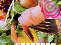 -造精酿餐厅