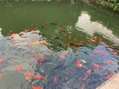 -宁波市保国寺古建筑博物馆