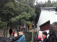 -香雪海