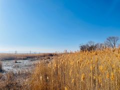 -野鸭湖国家湿地公园