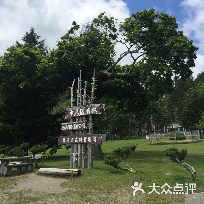 洞爷湖森林博物馆图片-北京展览馆-大众点评网