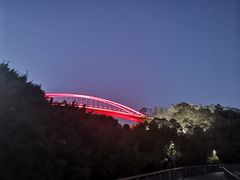 -金鸡山公园