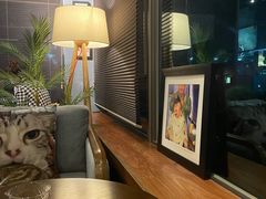 -咖法森林·咖啡  酒吧(天河店)