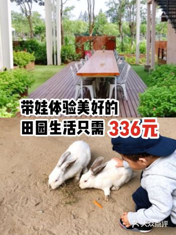 带娃体验美好的田园生活只需336元