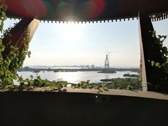 -芒洲湿地公园