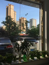 -荟草堂痘肌修护中心