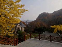 -丹东天桥沟景区