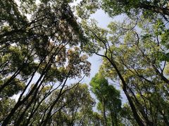 -同里国家湿地公园