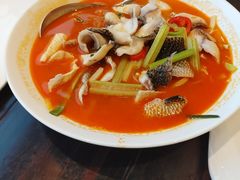 -湛江民大喜来登酒店-采悦轩中餐厅