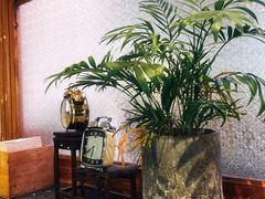 -桃园眷村(万象天地店)