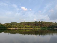 -南国桃园旅游度假区