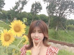 -武汉紫薇都市田园