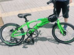 -道路口单车爱瓦士dahon大行