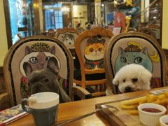 -more than meow吴止猫主题餐厅(承德 中船汇店)