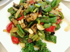 -金龙寨(解西店)