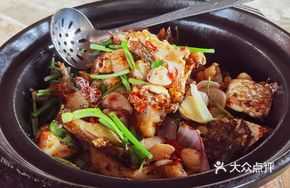 Sand Pot Fish