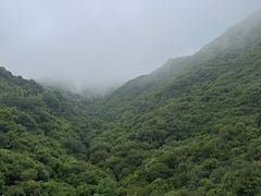 -茵特拉根酒店·西餐厅