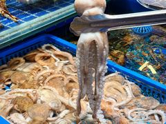 -望海湾海鲜楼·海鲜(河南路店)