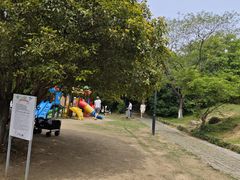 -白马涧龙池景区