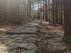-冶父山国家森林公园