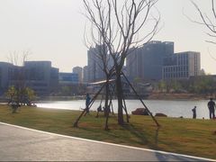 -后襄河公园