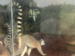 -泉州海丝野生动物世界