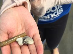 -北海金海湾红树林生态旅游区