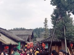 -秀丽东方
